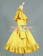 c018gingeryellow-3