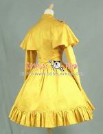 c018gingeryellow-4