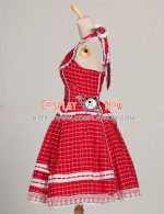 d041redtartan-3