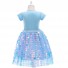 Frozen 2 Cosplay Princess Elsa Costume Layered Sequins Girl Dress for Children