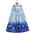 Frozen Cosplay Princess Elsa Costume Pleated Dress for Children