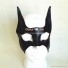 Batman Cosplay Bruce Wayne Mask