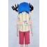 One Piece Tony Tony Chopper Cosplay Costume