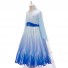 Frozen Cosplay Princess Elsa Costume Printed Girl Dress for Children