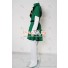 The Legend of Zelda Link Cosplay Costume