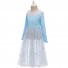Frozen Cosplay Princess Costume Blue Chiffon Evening Dress for Children