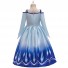 Frozen Cosplay Princess Elsa Costume Pleated Dress for Children