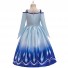 Frozen Cosplay Princess Elsa Costume Pleated Dress for Children