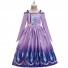 Frozen Cosplay Princess Elsa Costume Pleated Dress for Children