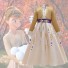Frozen Cosplay Princess Elsa Costume Fairy Tale Cute Evening Dress for Children