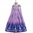 Frozen Cosplay Princess Elsa Costume Pleated Dress for Children