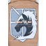 Attack On Titan Constitution Legion Cosplay Costume