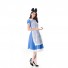 Alice in Wonderland Cosplay Costume Oktoberfest Maid Dress