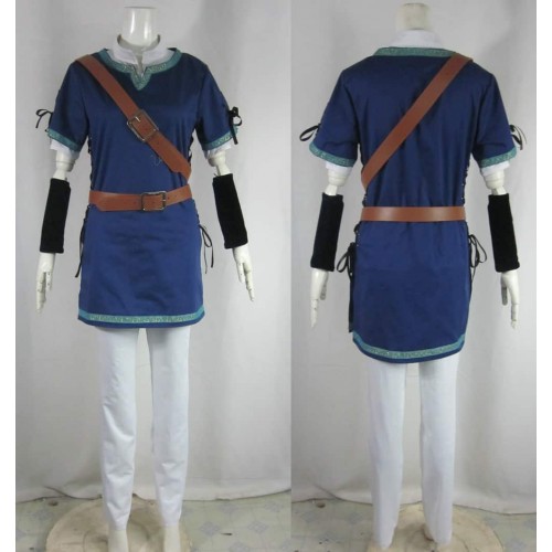 The Legend Of Zelda Link Blue Cosplay Costume