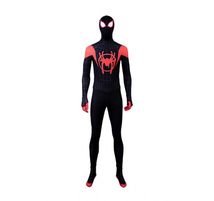 Spider Man Into the Spider-Verse Cosplay Peter Parker Costume