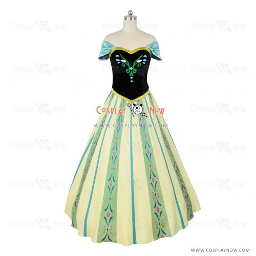 Frozen Cosplay Princess Anna Costume