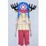 One Piece Tony Tony Chopper Cosplay Costume