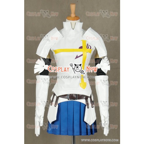 Fairy Tail Cosplay Erza Scarlet Beautiful Costume