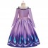 Frozen Cosplay Princess Elsa Costume Pleated Dress for Children