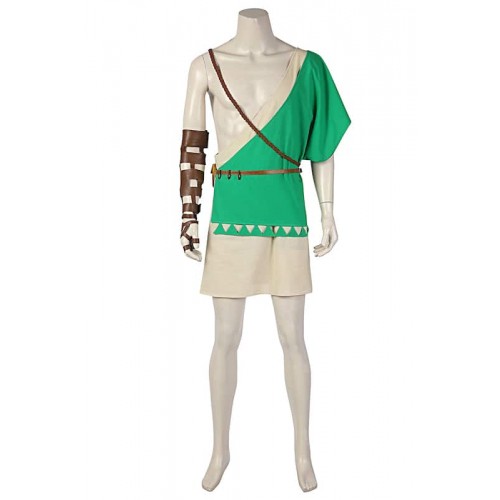 The Legend Of Zelda: Breath Of The Wild 2 Link Cosplay Costume