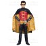 Young Justice Robin Cosplay Costume