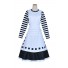 Alice: Madness Returns Costume Alice London Dress