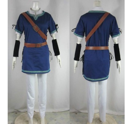 The Legend Of Zelda Link Blue Cosplay Costume
