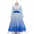Frozen Cosplay Princess Elsa Costume Printed Girl Dress for Children