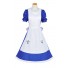 Alice: Madness Returns Cosplay Alice Blue Dress Costume