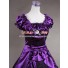 Renaissance Gothic Reenactment Dress Ball Gown Purple Dress